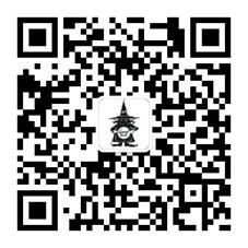 魔法猫MAGICCAT微信公众号