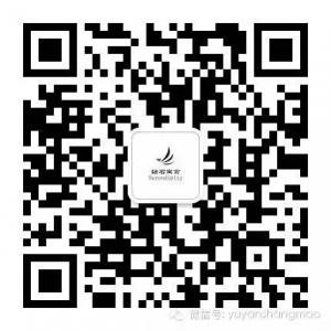 钻石寓言Serendipi微信公众号