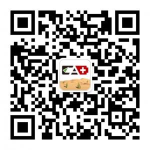 仙人掌传媒微信公众号