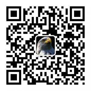 傲气的孤鹰微信公众号