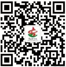 掌上东莞吧微信公众号