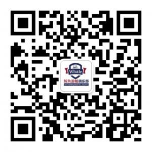 美国鲸鱼游艇俱乐微信公众号