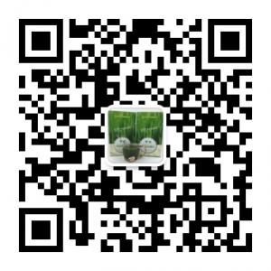 <b>甘祖大麦若叶青汁</b>微信公众号