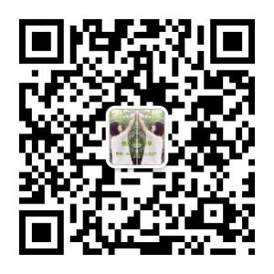 独木桥之李李微信公众号