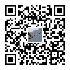 深圳山鹰户外俱乐部微信公众号