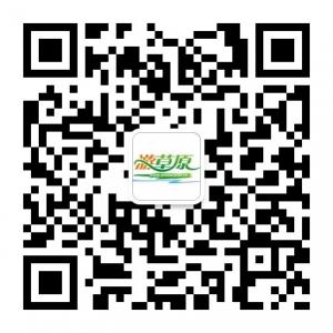 游草原旅游网微信公众号