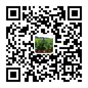 GS蚕桑文化资讯传媒论坛微信公众号