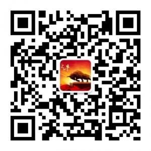 牛犊投资社微信公众号