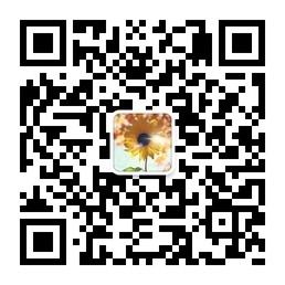 英文歌曲汇微信公众号