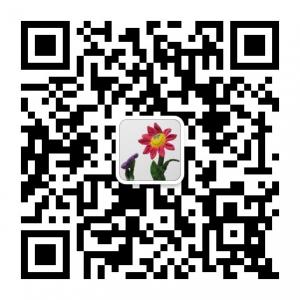 生活百科大全微信公众号