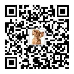 宠物宝宝萌萌哒微信公众号