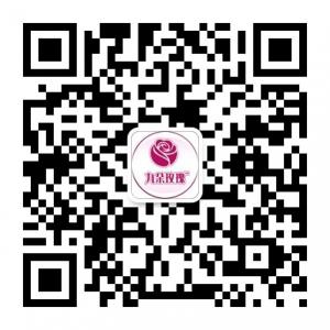 九朵玫瑰（华南）微信公众号