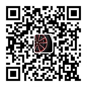 勒马碳碳碳陶刹车盘