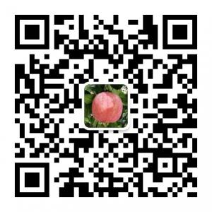 栖霞红富士微信公众号