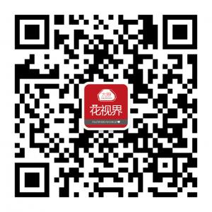 太原花视界微信公众号