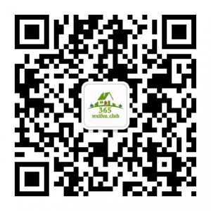 365微粉俱乐部微信公众号