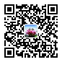 洛阳城事儿微信公众号