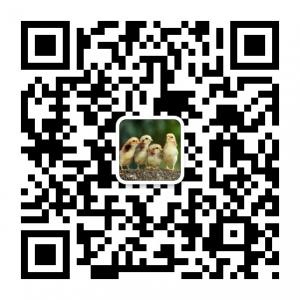 这个绝对有意思微信公众号