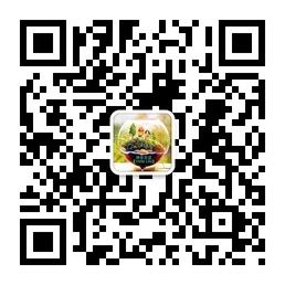 微乐生活【VeileL微信公众号