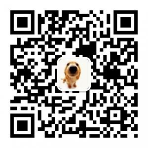 我和狗狗有个约定微信公众号