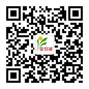 金贝诚教育微信公众号
