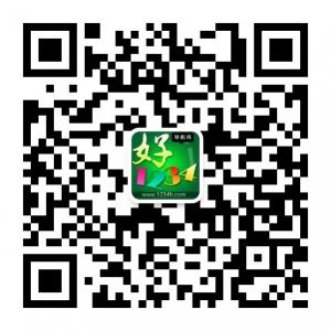 1234好导航微信公众号