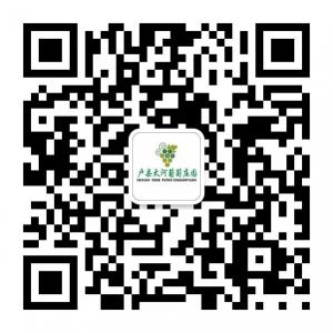 户县太河葡萄庄园微信公众号
