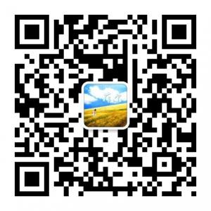 俄罗斯菲尔油画你联盟微信公众号