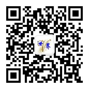 唯美微世界微信公众号