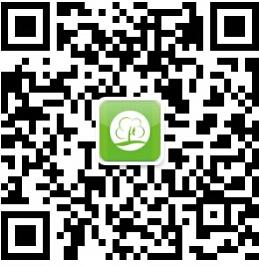 武汉青桐逸富微信公众号
