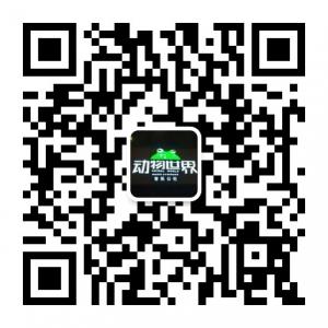 动物世界音乐公社微信公众号