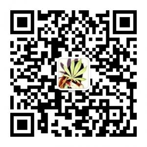 weed飞行燃料微信公众号