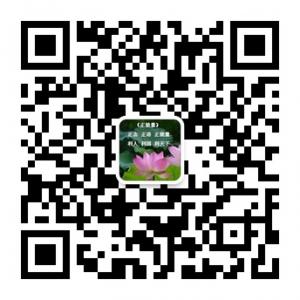 正能量马子雄微信公众号