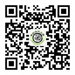 中国古典文学微信公众号