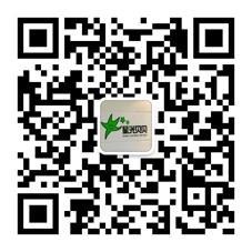 同安星光贝贝中韩微信公众号