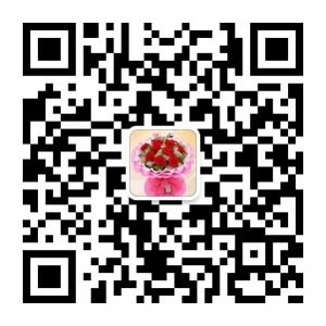 保定鲜花蛋糕快递微信公众号