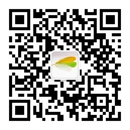 Colorfeather恋上公主微信公众号