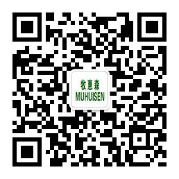 牧惠森男鞋真皮男微信公众号