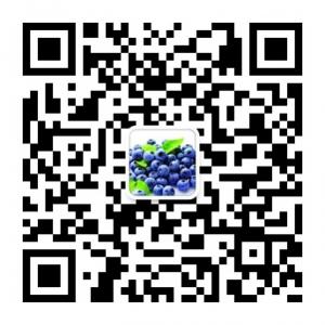 上海鲜生活微信公众号