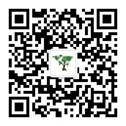 地球家园硅藻泥微信公众号