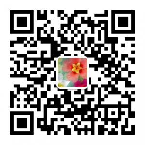 falldream雅微信公众号