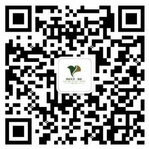 银蛇国际软装馆微信公众号