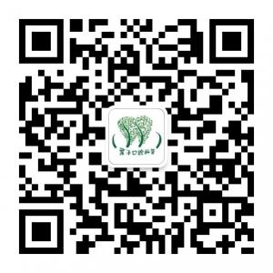 葉子口腔科普微信公众号