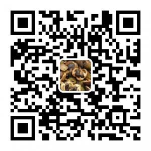 龙岩茶油坊微信公众号