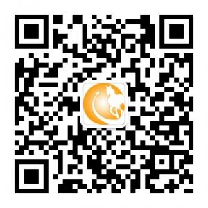 马山信息港微信公众号