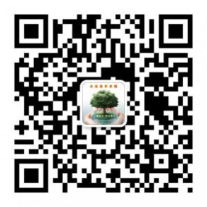 罗麦泰和卓越团队微信公众号