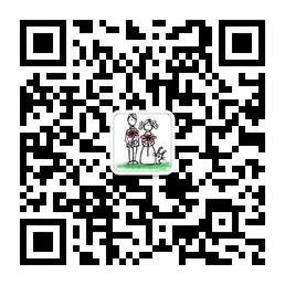 欣梦奇缘婚礼微信公众号