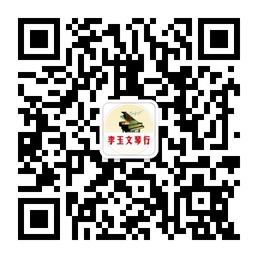 李玉文琴行微信公众号