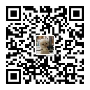 美乐家曹娥微信公众号