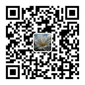 冯晓强NLP商学院助微信公众号